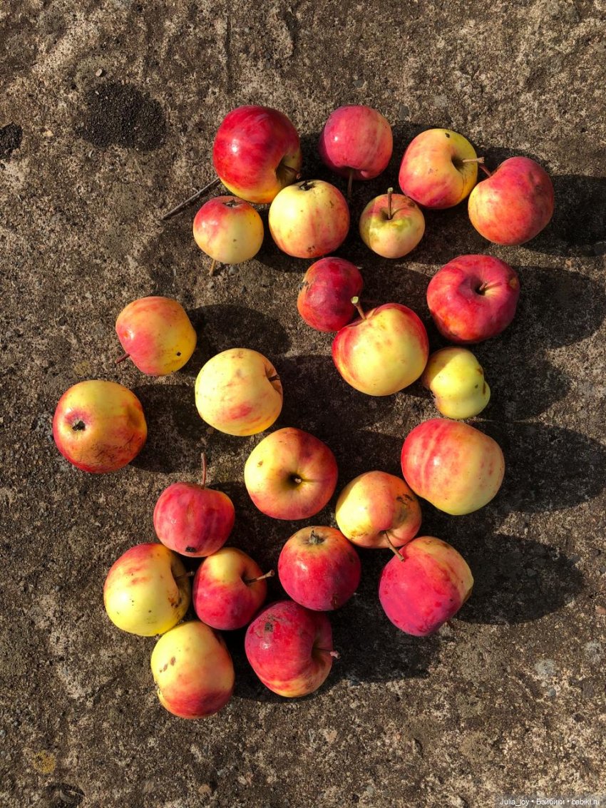 Осенние краски-раскраски — Куклы BTS (БТС) от Mattel: K (фото 2)