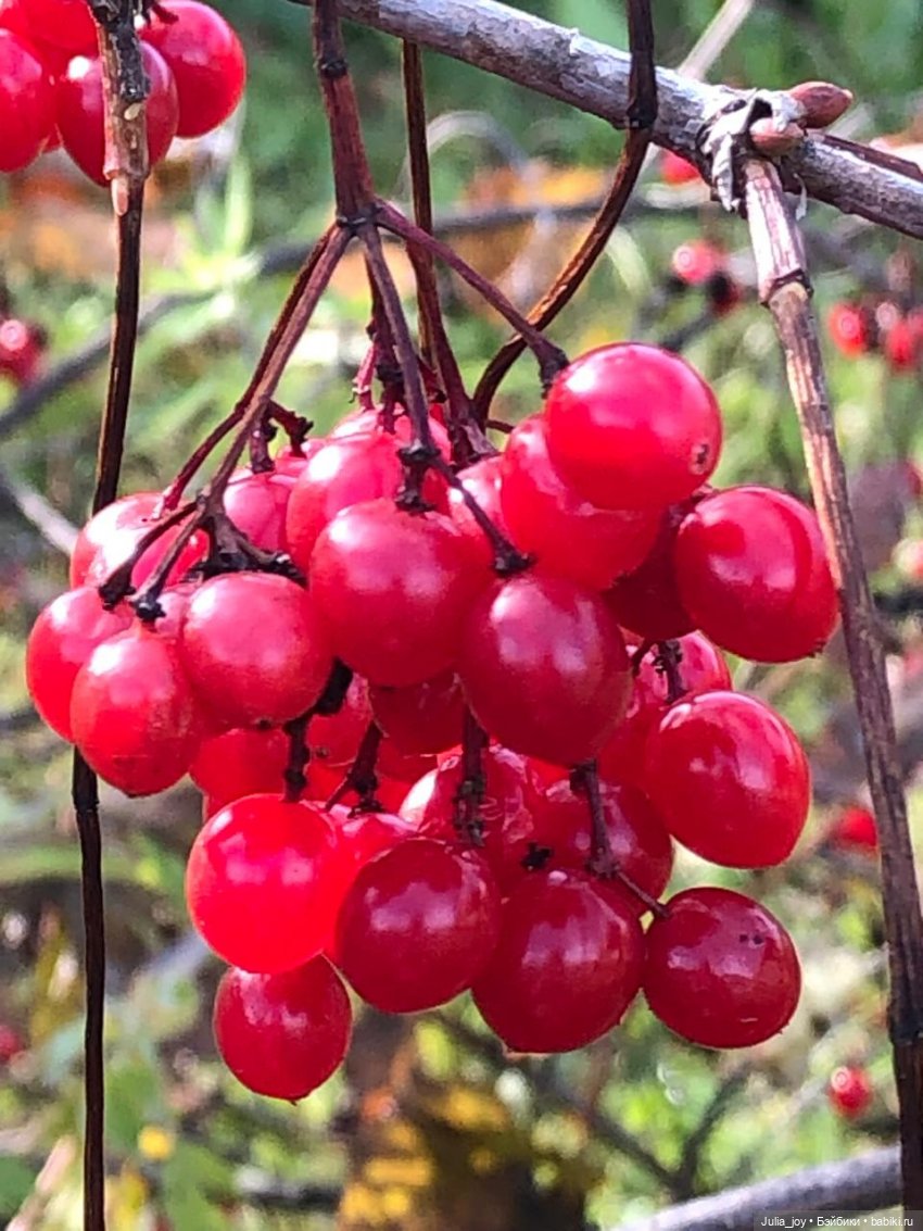 Осенние краски-раскраски — Куклы BTS (БТС) от Mattel: K (фото 10)