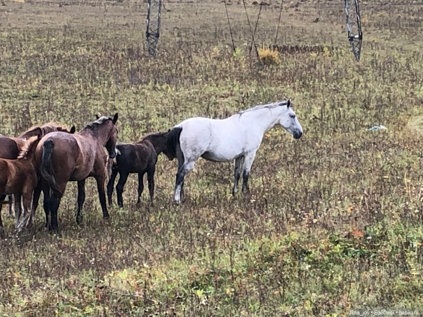 Осенние краски-раскраски — Куклы BTS (БТС) от Mattel: K (фото 8)