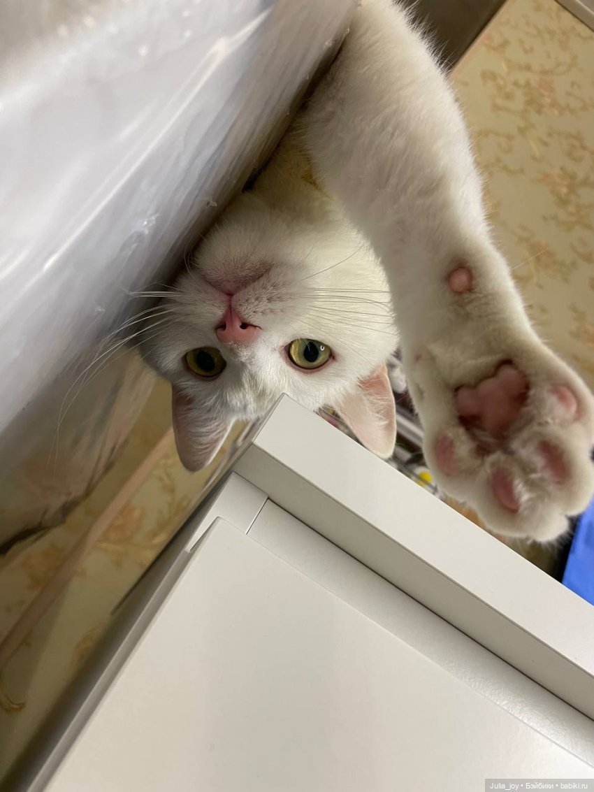 Парадоксы Судьбы или…БРАТ ТЫ МНЕ ИЛИ НЕ БРАТ