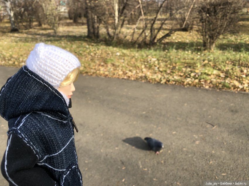 Остановки в Шау Шау как арт – объект