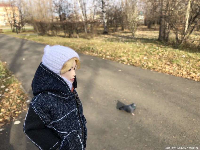 Остановки в Шау Шау как арт – объект