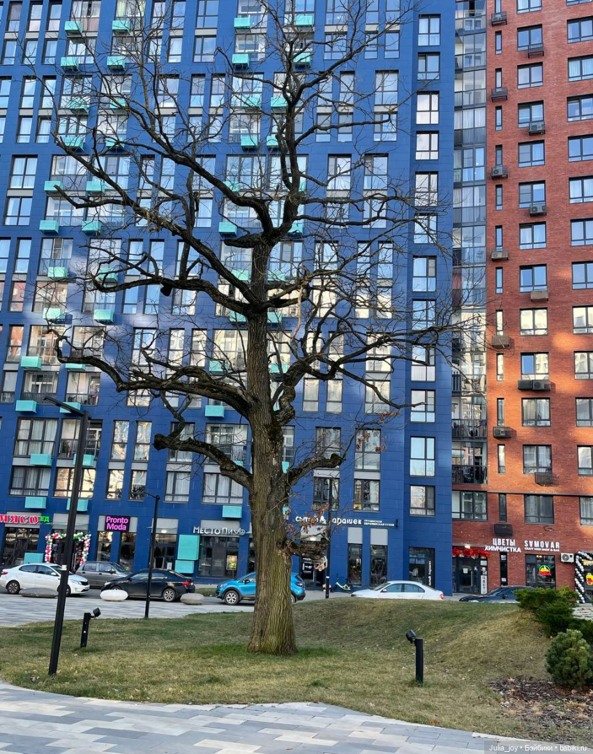 Держим курс на Вест-Зюйд-Вест или Муми – долина (фото 10)