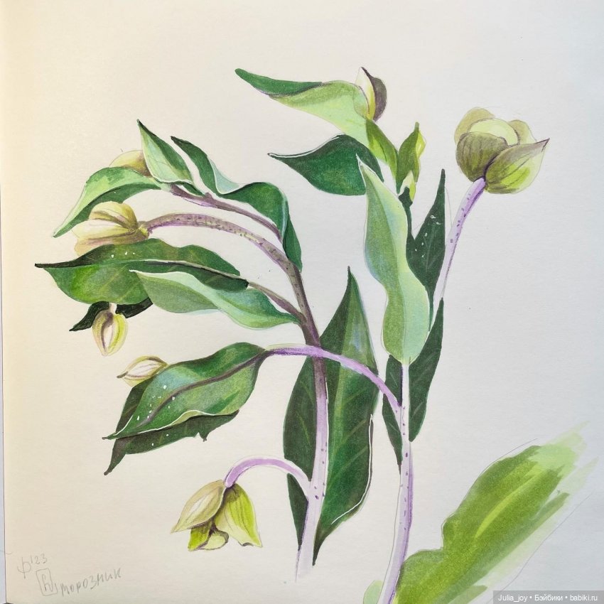 Примите наши поздравления (фото 8)