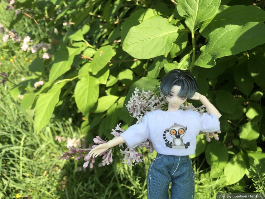 Песнь о том, как сицилийский пес китайского происхождения вливается в корейскую диаспору, где то на бескрайних просторах