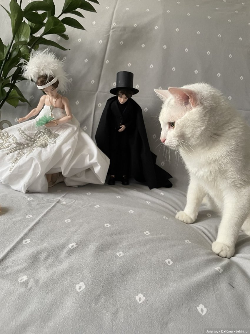 АвгустФест. Закулисные истории группы Шучичон