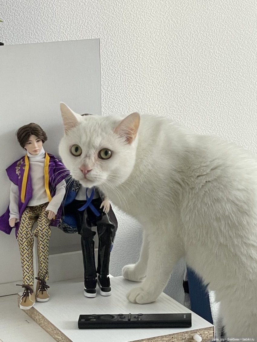 АвгустФест. Закулисные истории группы Шучичон