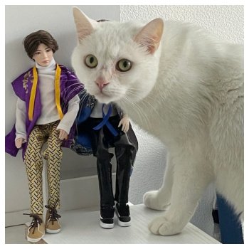 АвгустФест. Закулисные истории группы Шучичон.