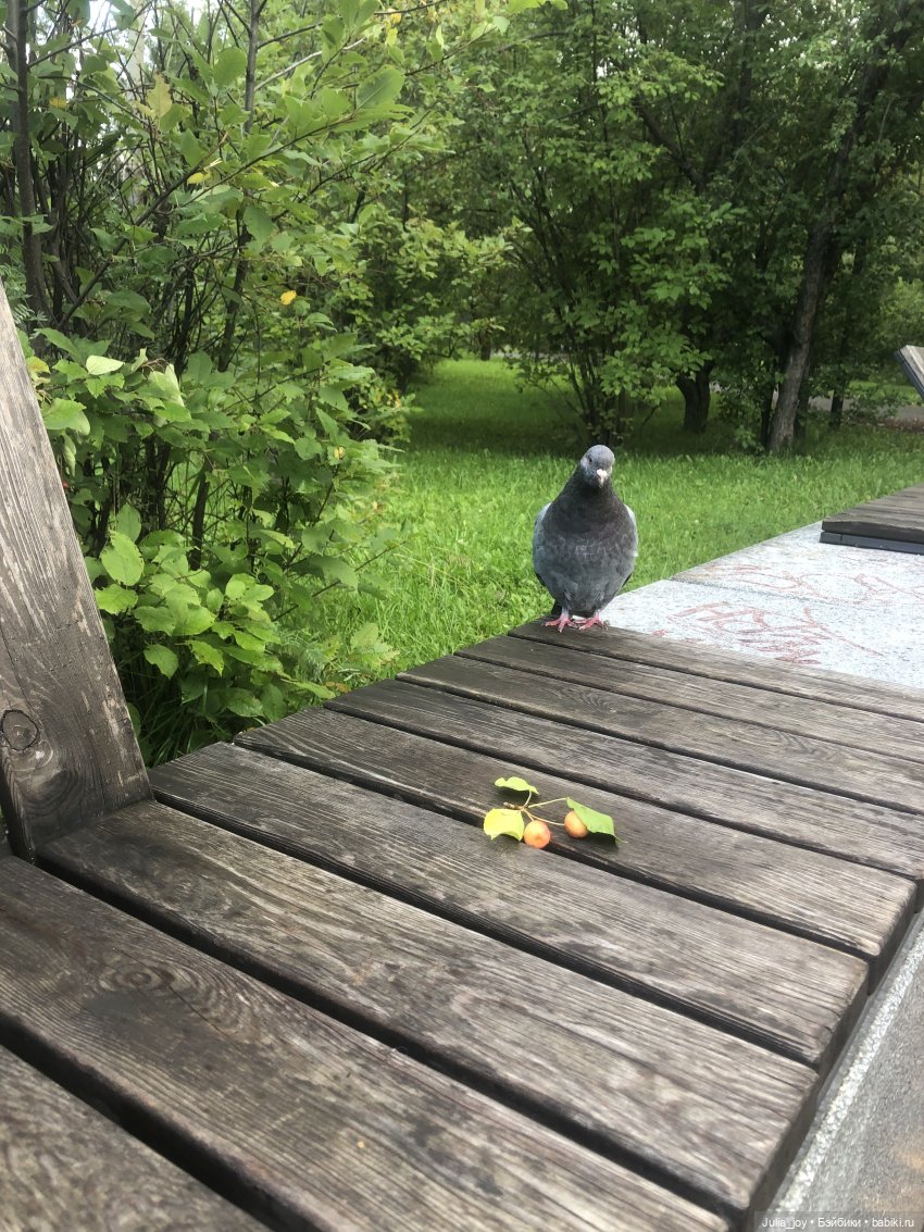 Как я провел... Этим летом