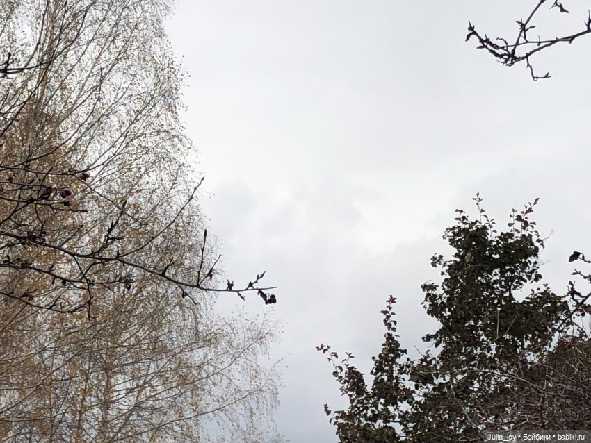 Птичка — Куклы BTS (БТС) от Mattel: K