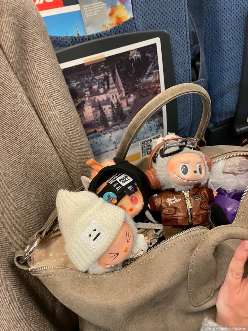 Первое большое путешествие Лабубышей (фото 2)