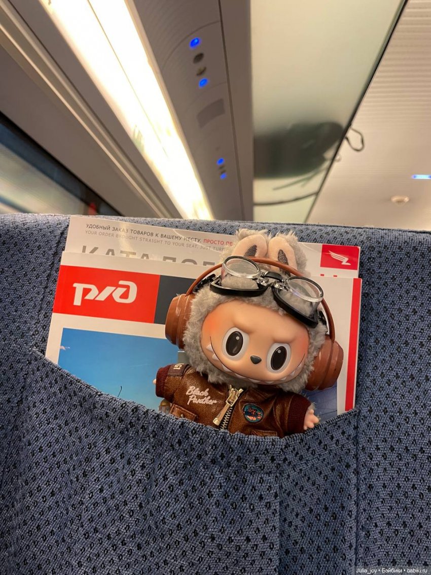 Первое большое путешествие Лабубышей (фото 3)