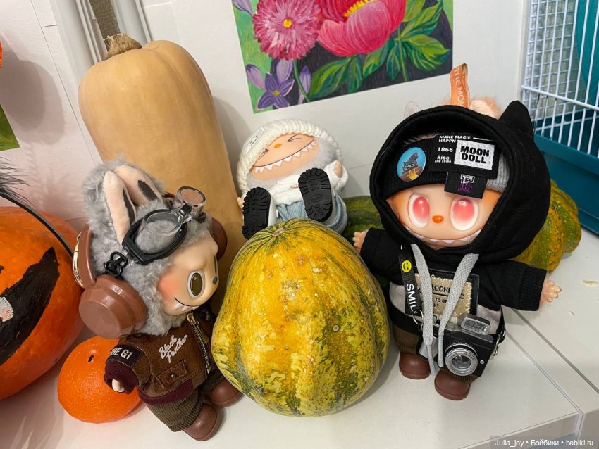 Первое большое путешествие Лабубышей (фото 10)