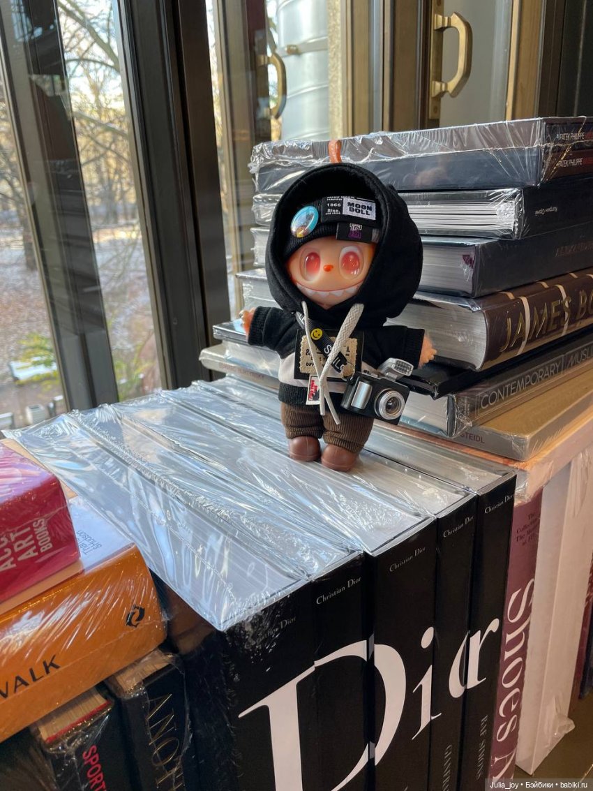 Первое большое путешествие Лабубышей