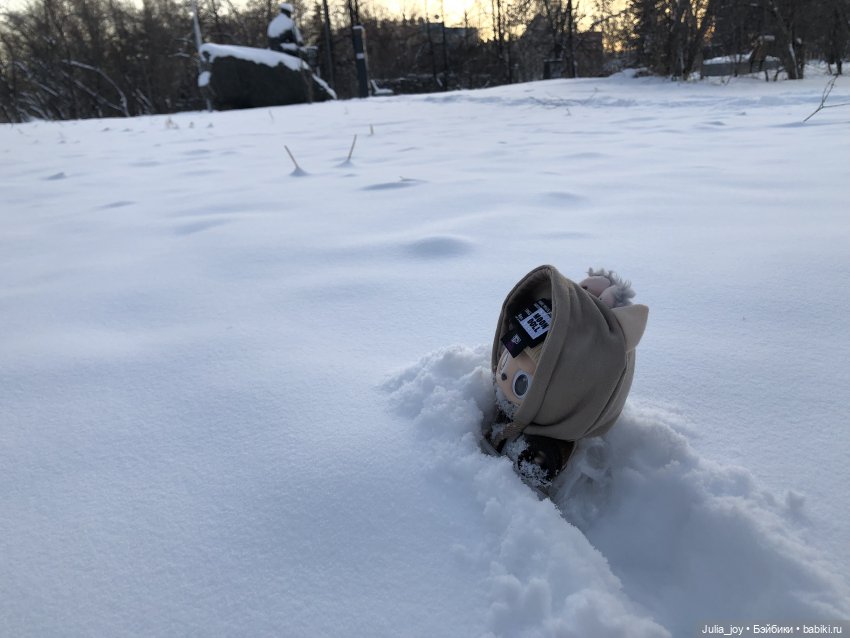 Под высоким небом… по глубоким сугробам (фото 5)
