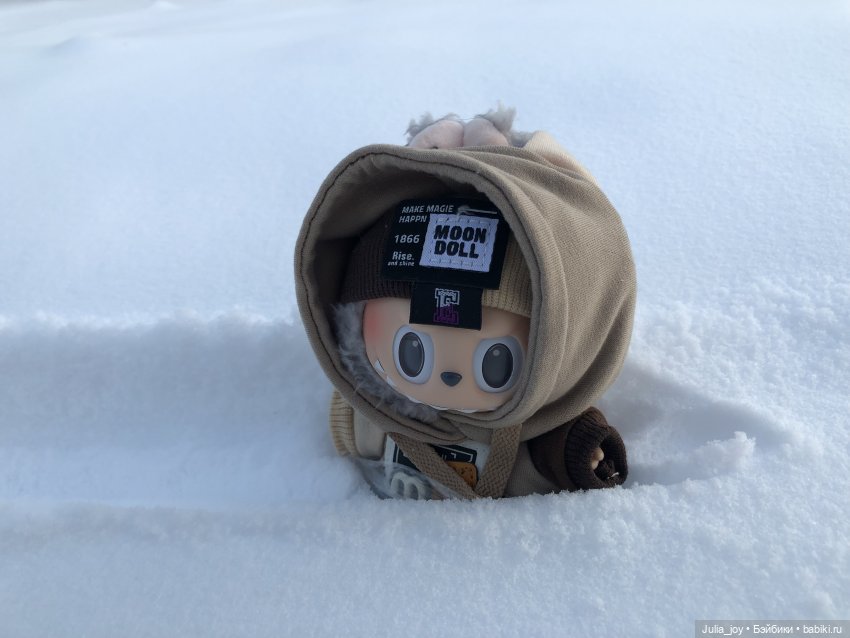 Под высоким небом… по глубоким сугробам (фото 3)