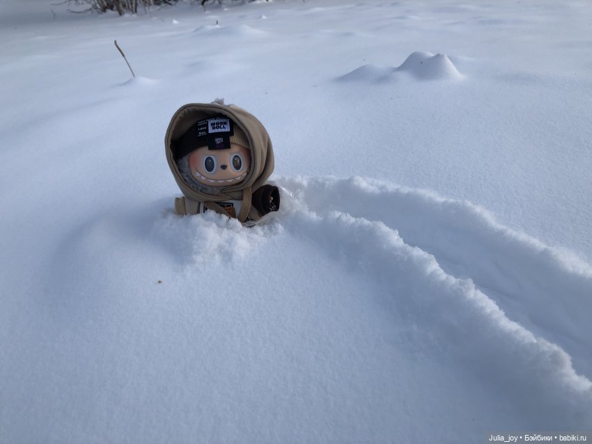 Под высоким небом… по глубоким сугробам (фото 4)