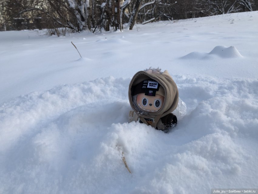 Под высоким небом… по глубоким сугробам (фото 6)