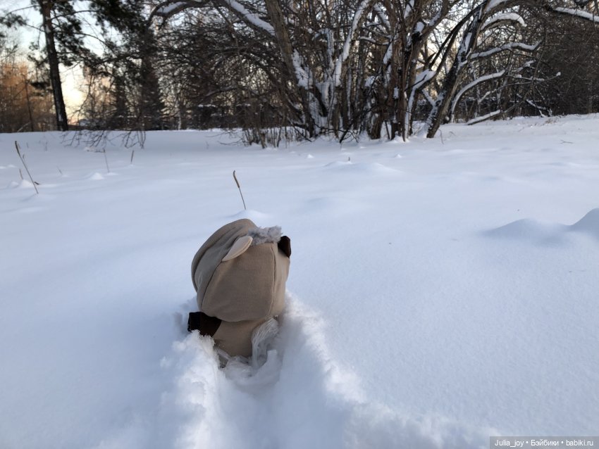 Под высоким небом… по глубоким сугробам (фото 7)