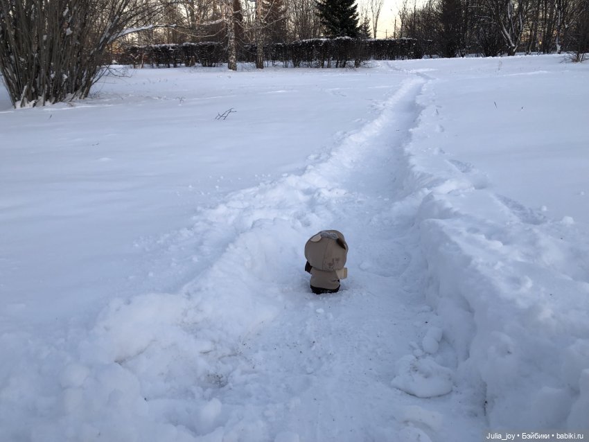 Под высоким небом… по глубоким сугробам (фото 8)