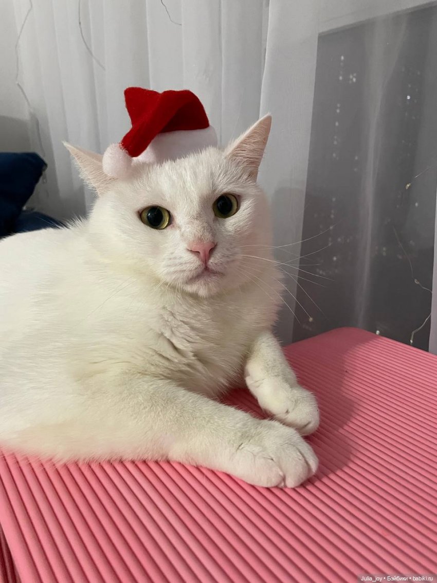 Подарки. Самая настоящая новогодняя распаковка (фото 7)