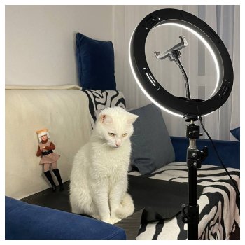 Творческий процесс или работа над спектаклем «12 ночь»