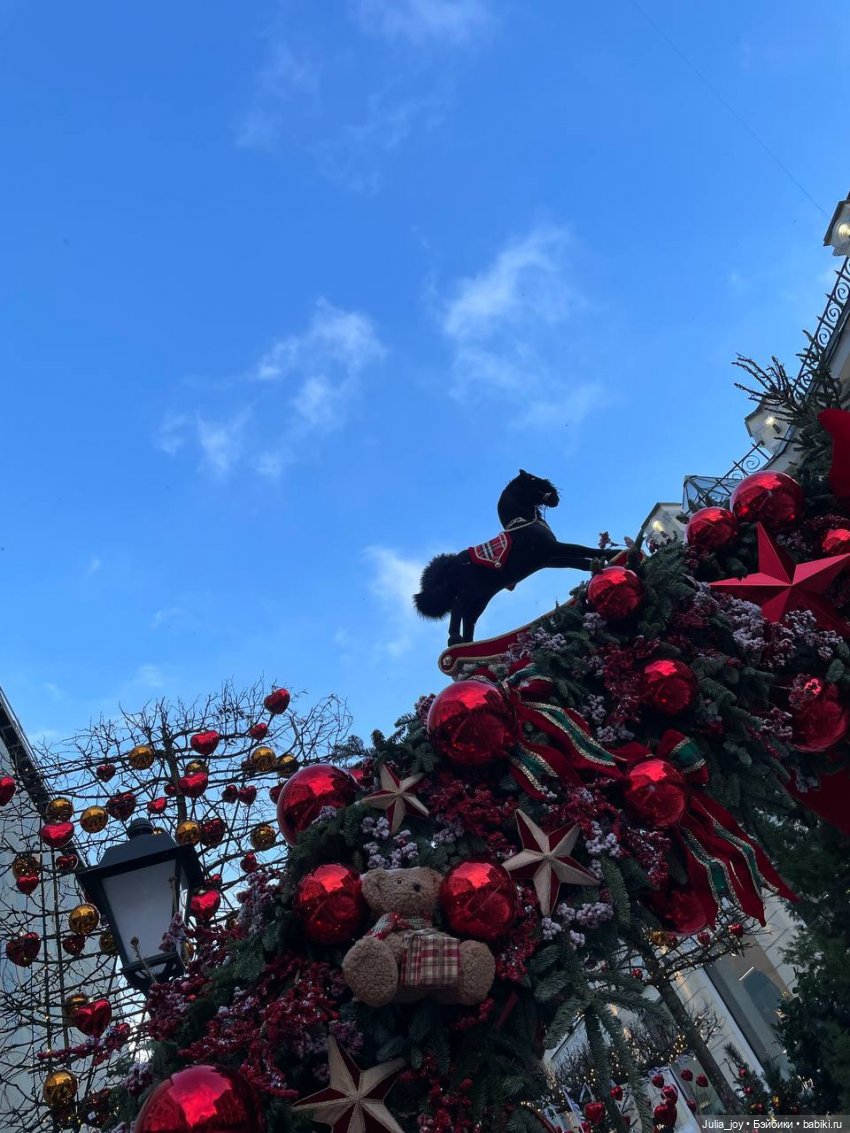 Лошадки в декабре или анонс предновогодних прямых эфиров (фото 7)