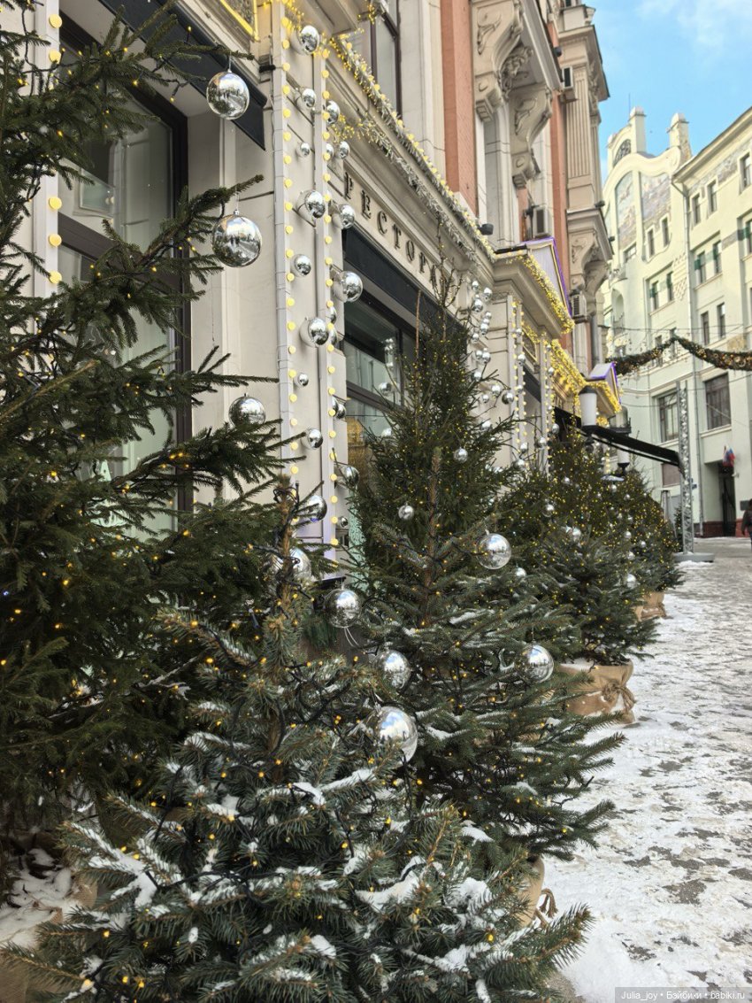 Лошадки в декабре или анонс предновогодних прямых эфиров