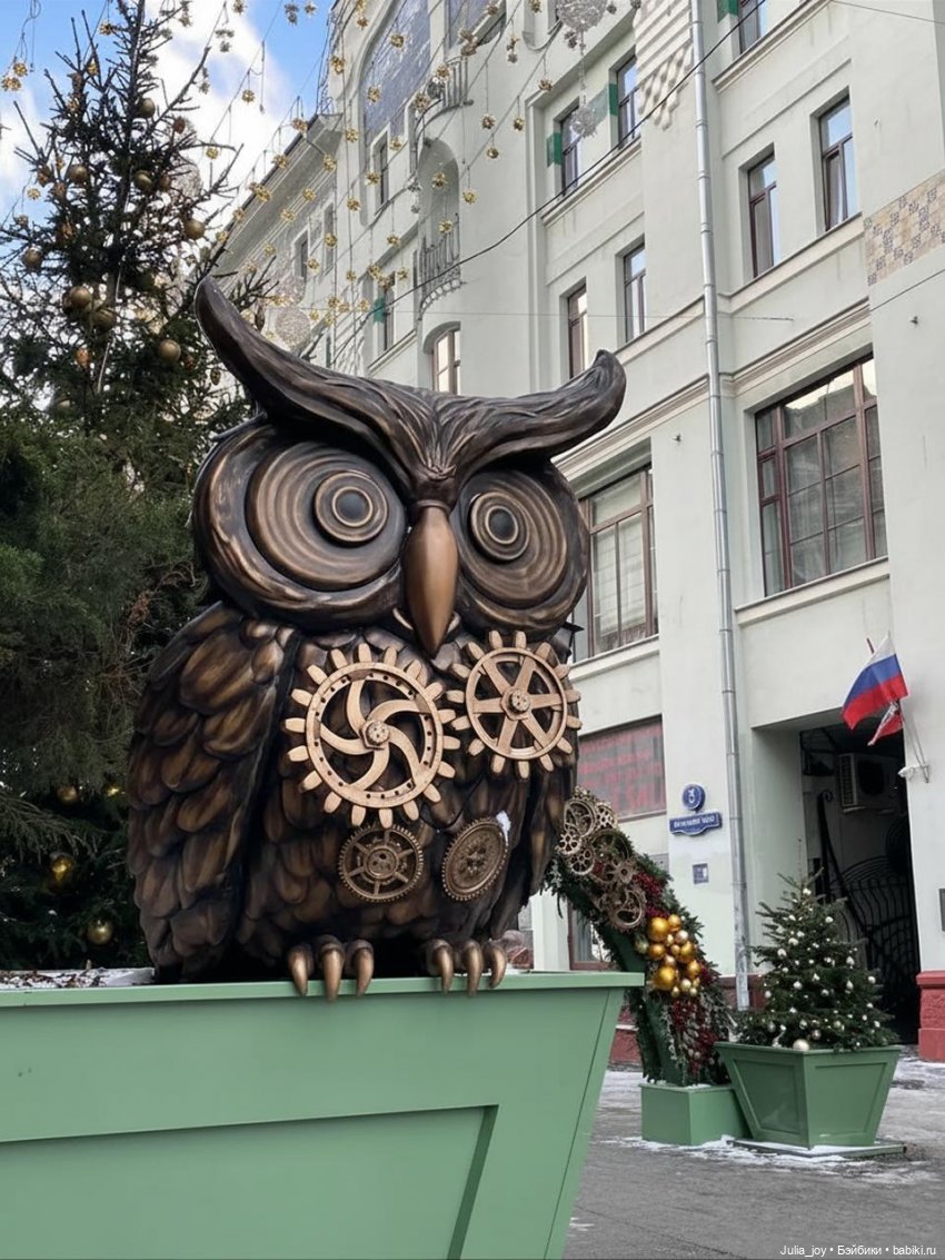 Лошадки в декабре или анонс предновогодних прямых эфиров