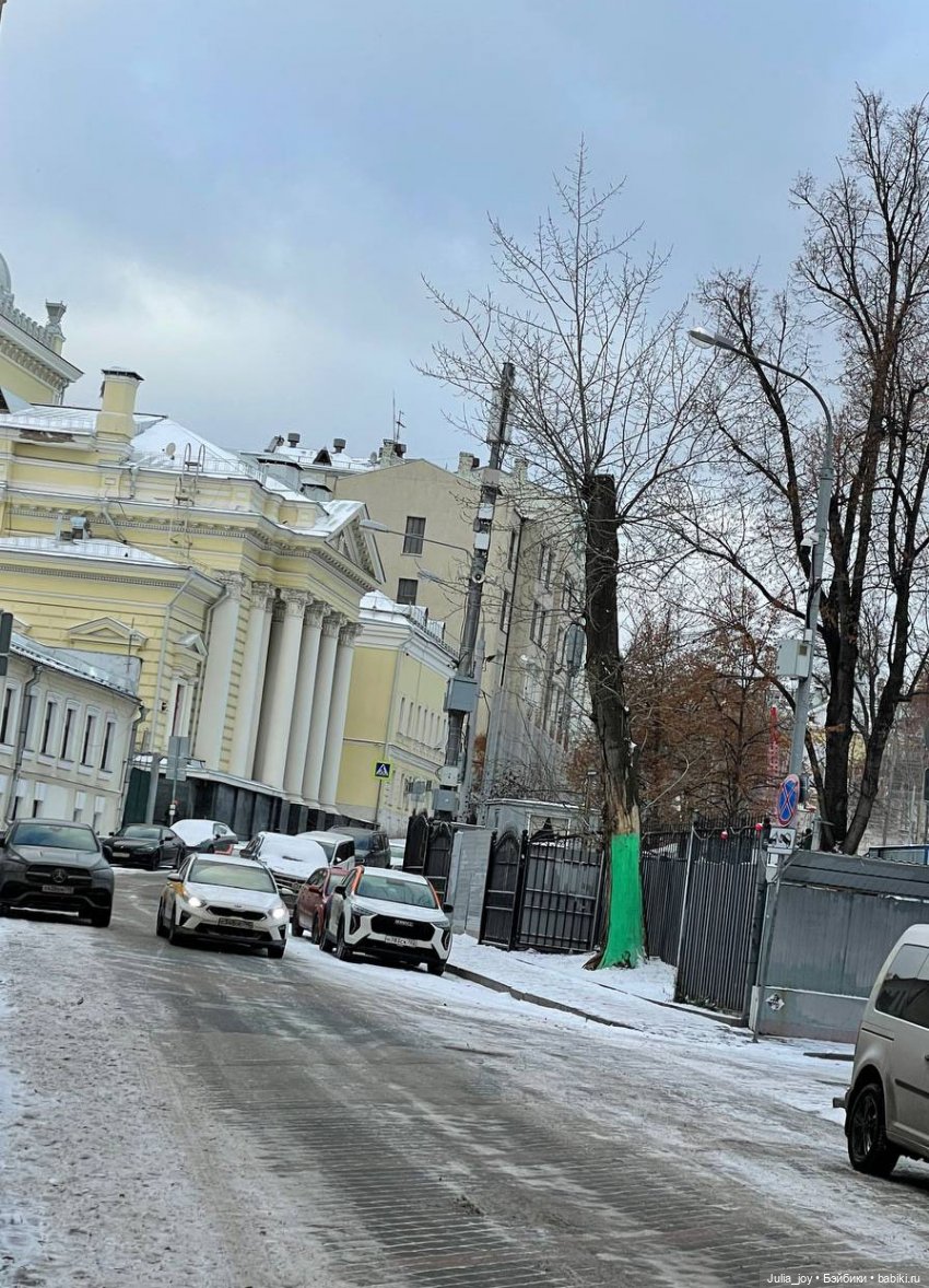 Лошадки в декабре или анонс предновогодних прямых эфиров