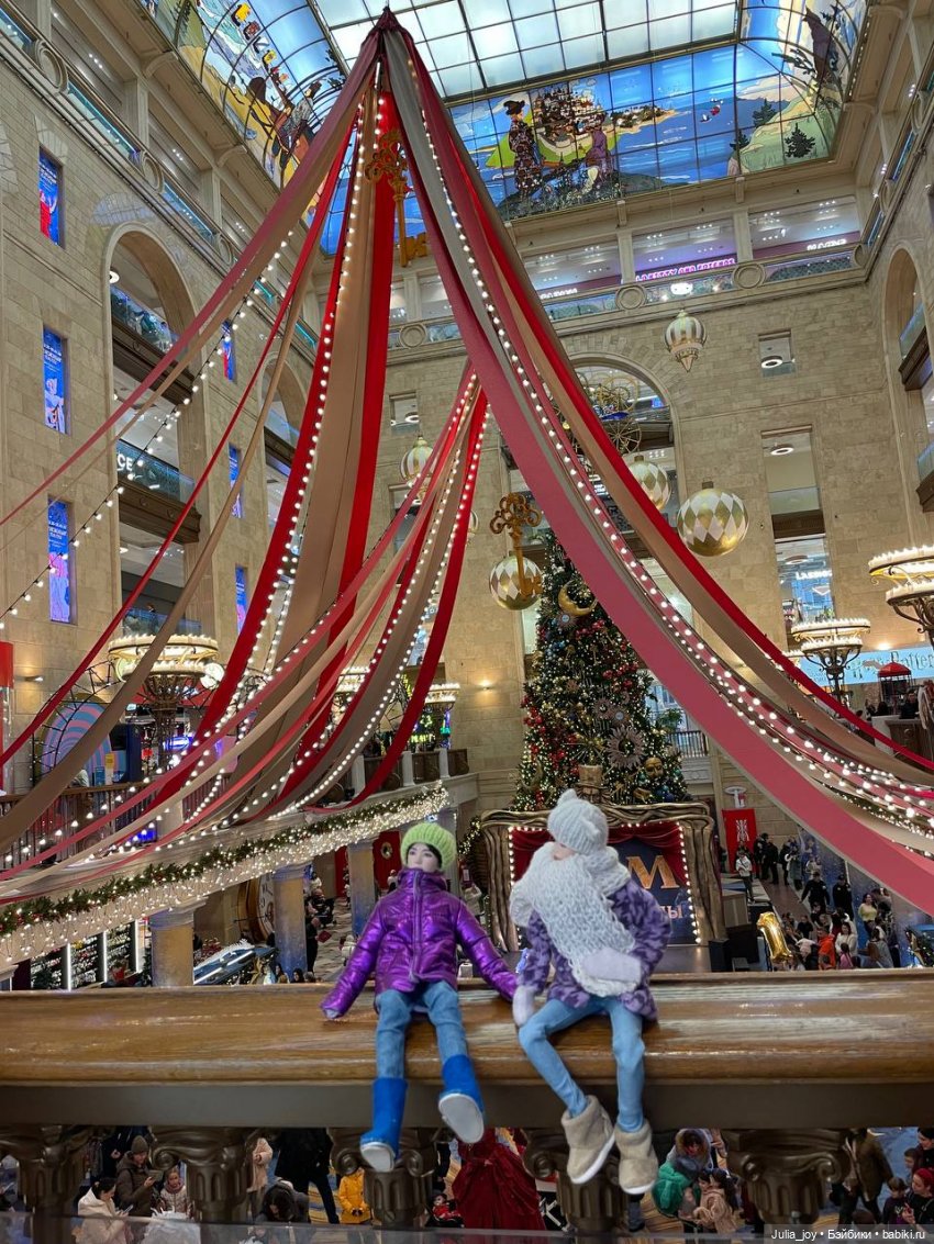 Лошадки в декабре или анонс предновогодних прямых эфиров
