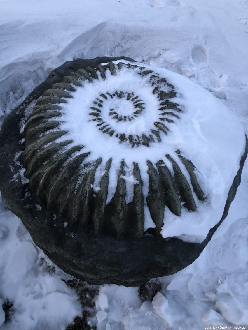 Ледниковый период в Шау Шау