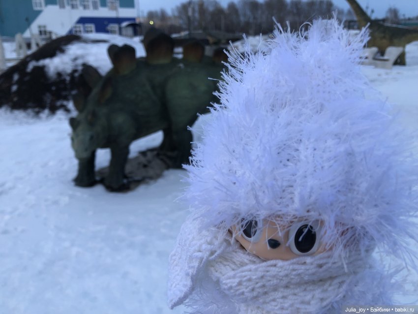 Ледниковый период в Шау Шау (фото 6)