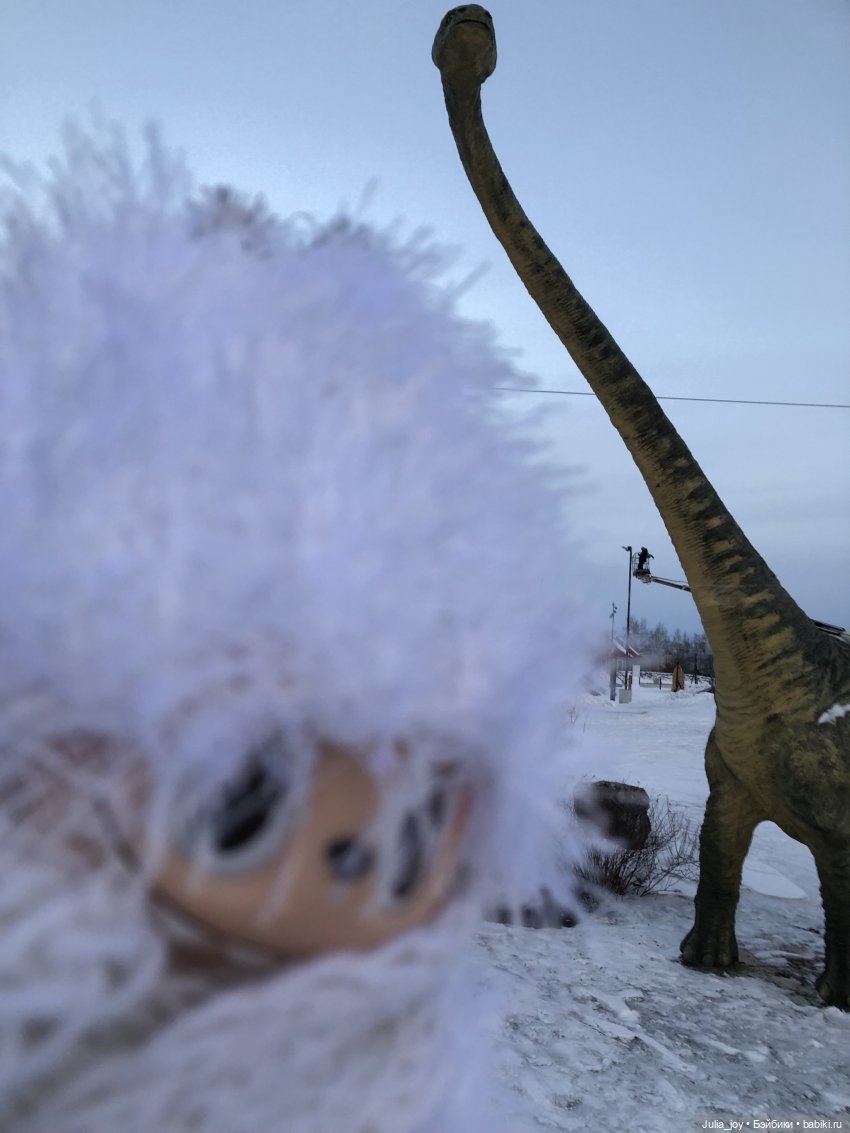 Ледниковый период в Шау Шау (фото 5)