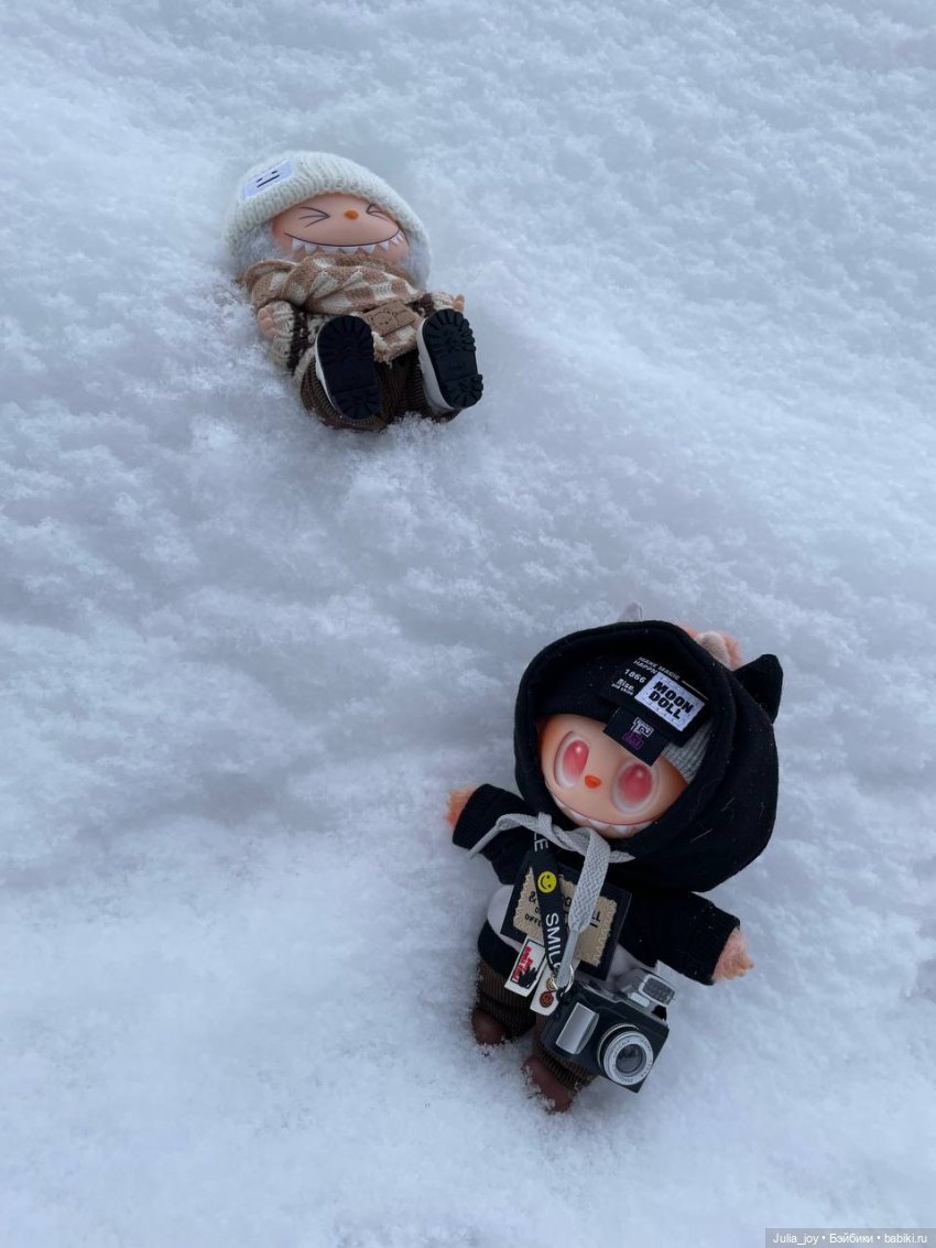 Там, где очень много снега (фото 2)