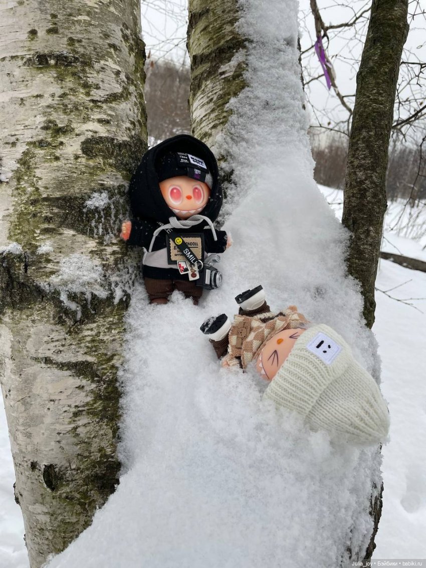 Там, где очень много снега (фото 5)