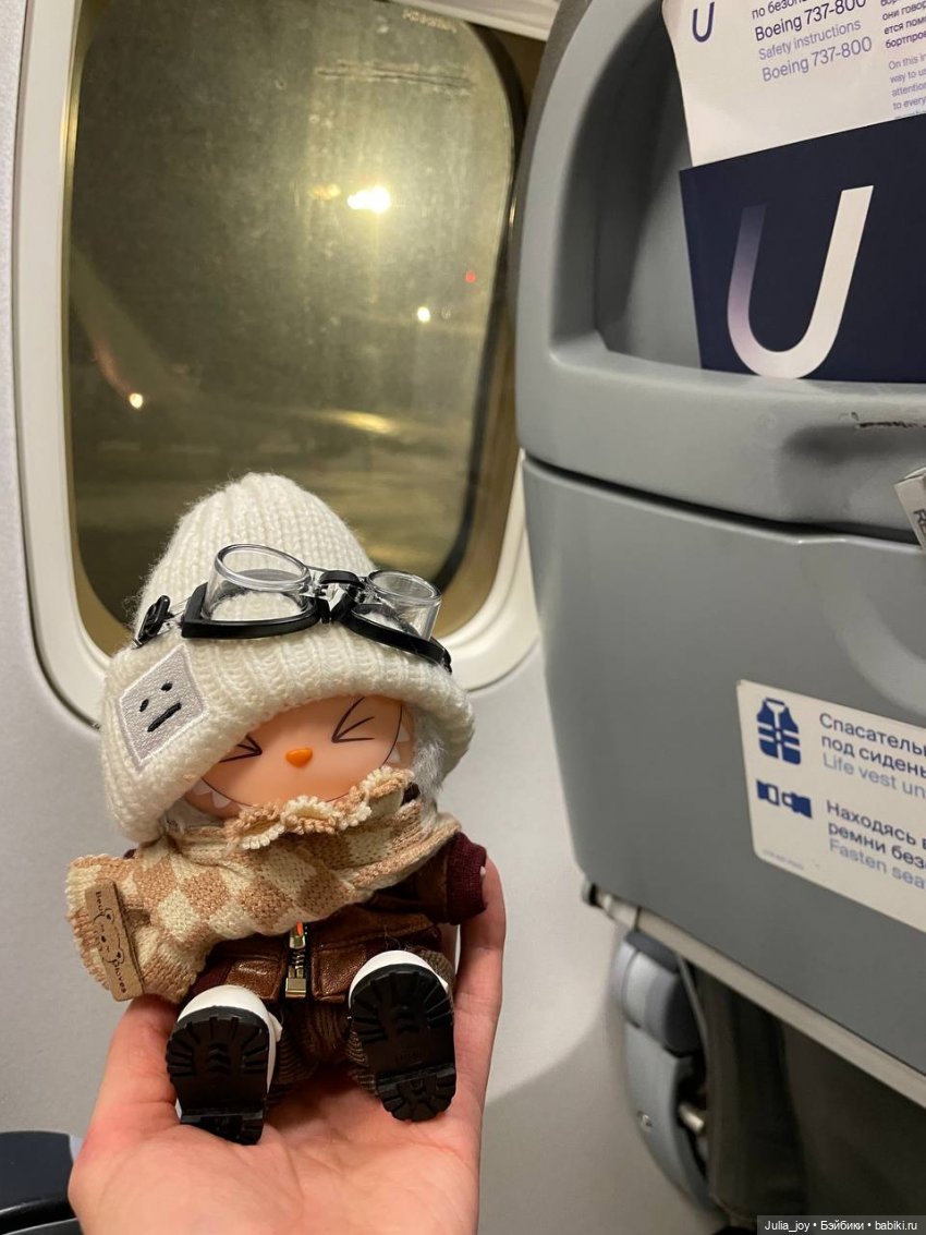 Вылет Лабубышей в Сибирь — Игрушки Labubu (Лабубу) и The Monsters: Pop Mart (фото 4)