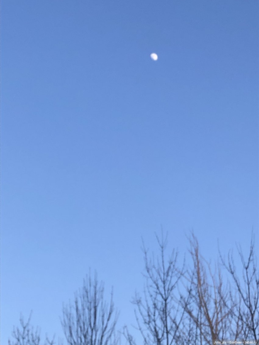 Последний день февраля. Прогулка Феофана и Дуси (фото 9)