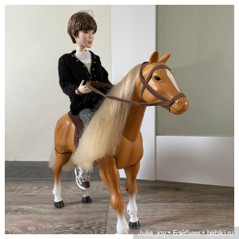Конь по имени Пёль — Куклы BTS (БТС) от Mattel: K (фото 3)