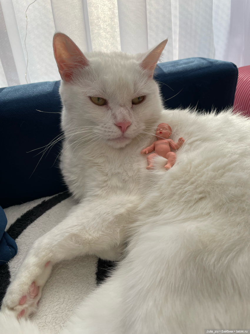 Бум-Бум. Бэбибум — Куклы BTS (БТС) от Mattel: K