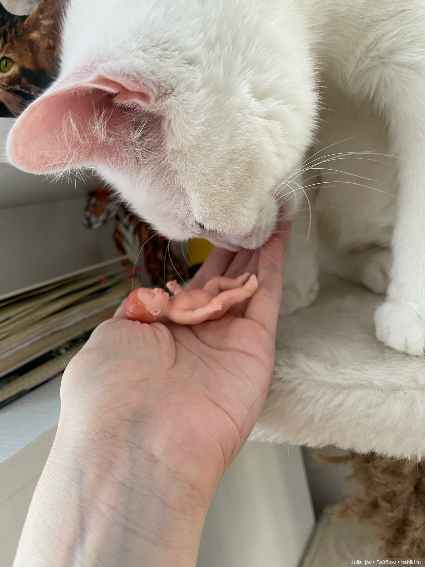 Бум-Бум. Бэбибум — Куклы BTS (БТС) от Mattel: K