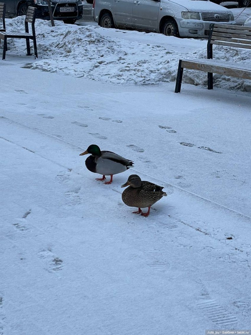 Город с 10 рублей — Куклы BTS (БТС) от Mattel: K