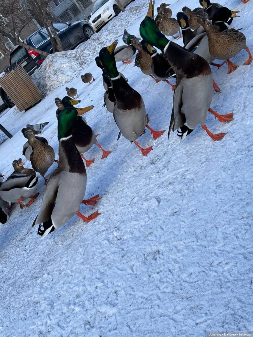 Город с 10 рублей — Куклы BTS (БТС) от Mattel: K