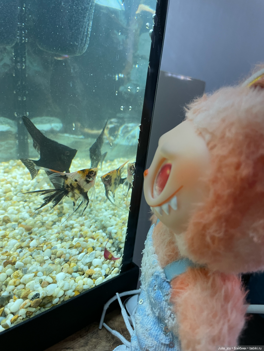 Рассказываем, где клюет или рыбосозерцатели (фото 7)