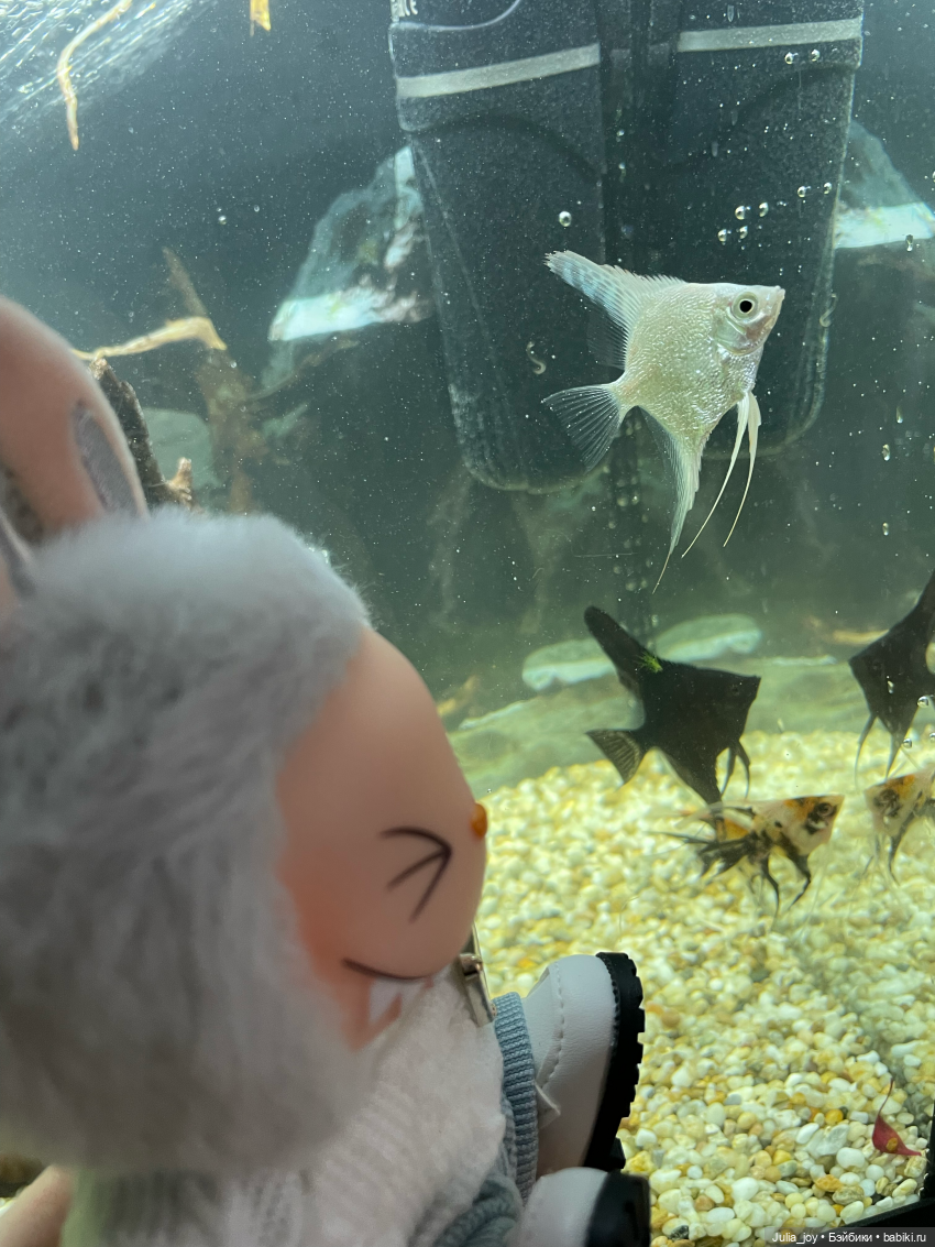 Рассказываем, где клюет или рыбосозерцатели (фото 8)