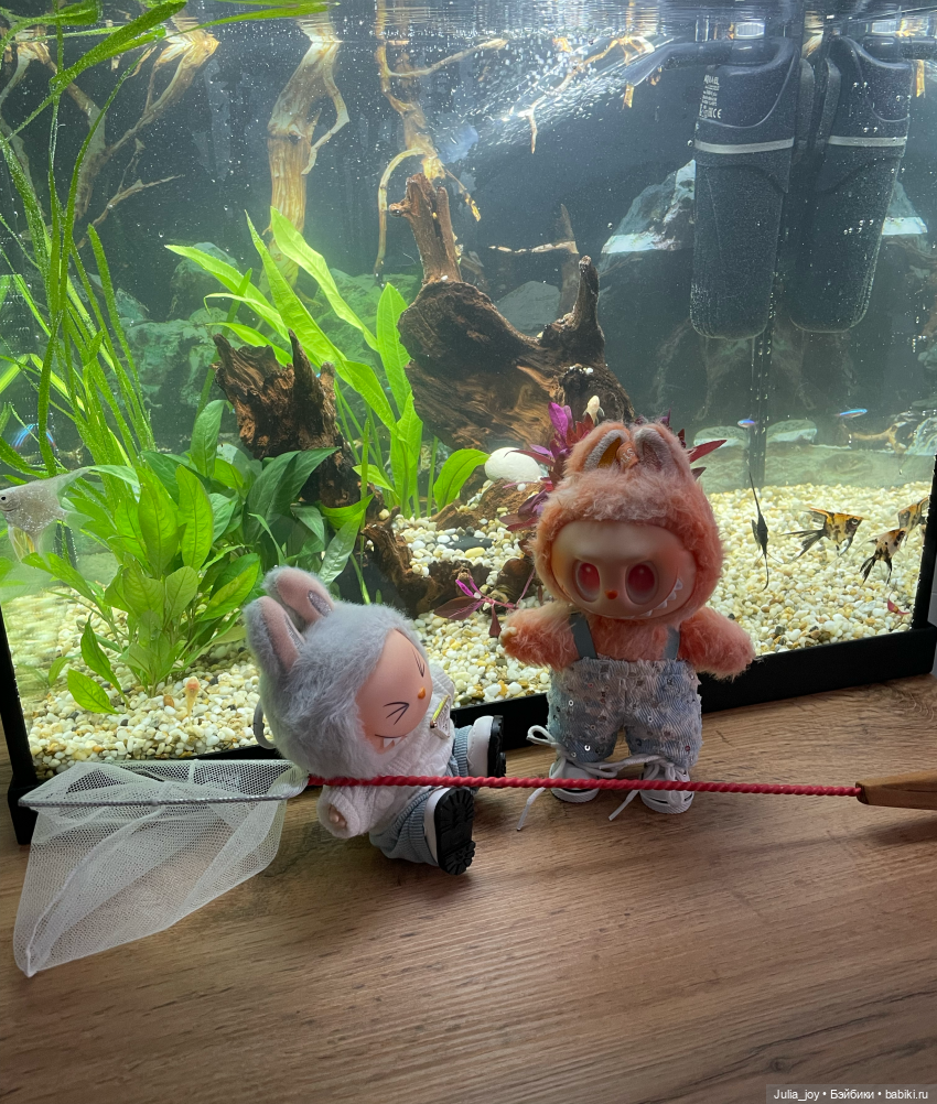 Рассказываем, где клюет или рыбосозерцатели (фото 4)