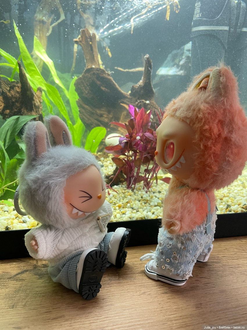 Рассказываем, где клюет или рыбосозерцатели (фото 5)