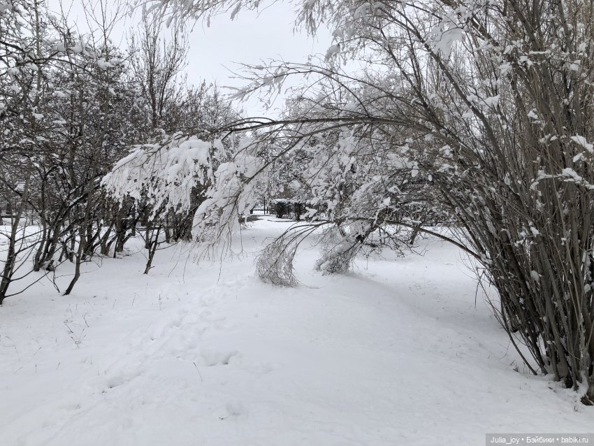Ну, где же ты, Весна — Игрушки Labubu (Лабубу) и The Monsters: Pop Mart (фото 3)