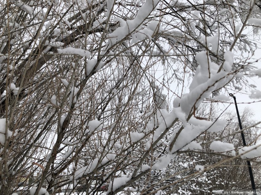 Ну, где же ты, Весна — Игрушки Labubu (Лабубу) и The Monsters: Pop Mart