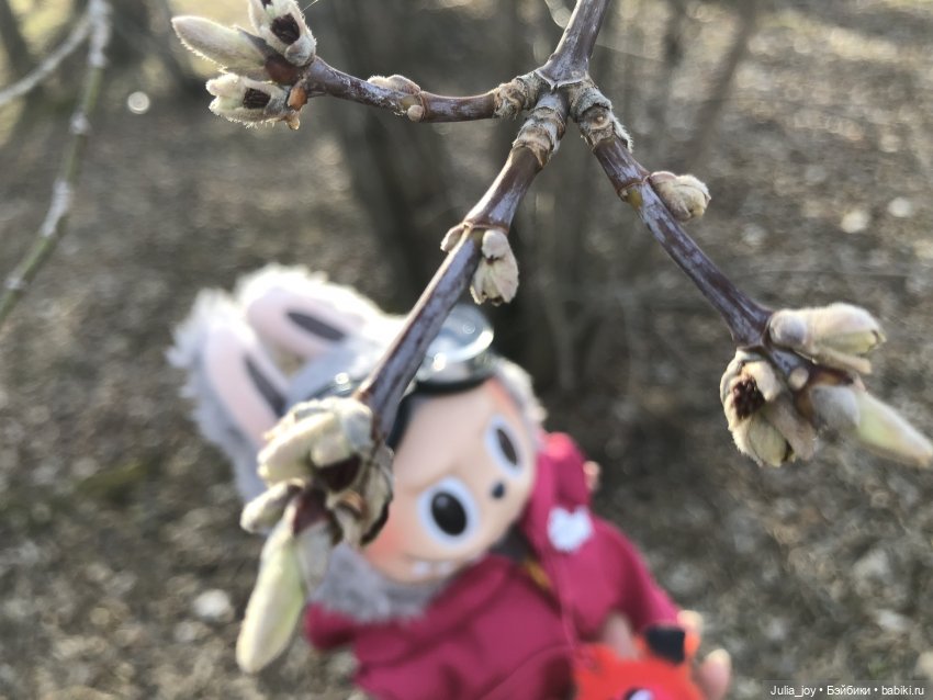 Феофан замеряет рост весны